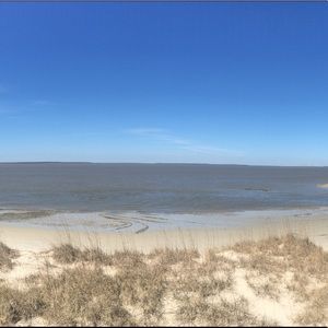 Meet your Posher, Jane